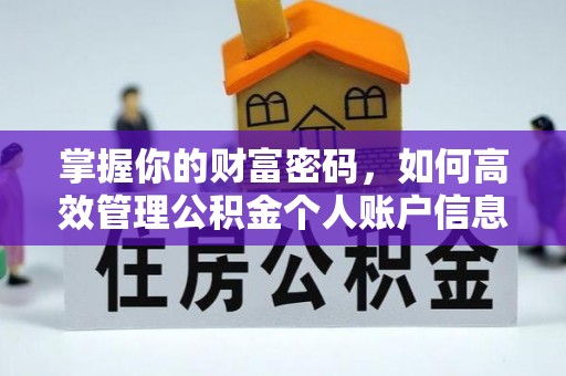 乾安掌握你的财富密码，如何高效管理公积金个人账户信息