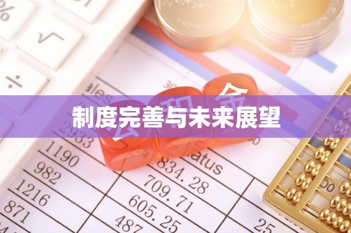 乾安制度完善与未来展望